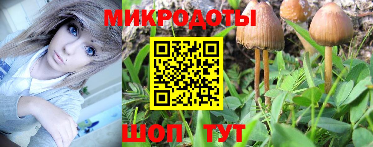 Галлюциногенные грибы мицелий Лесосибирск
