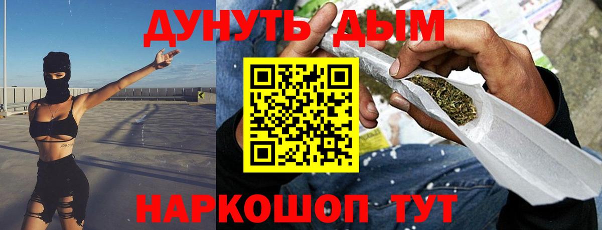 Бошки Шишки семена Лесосибирск